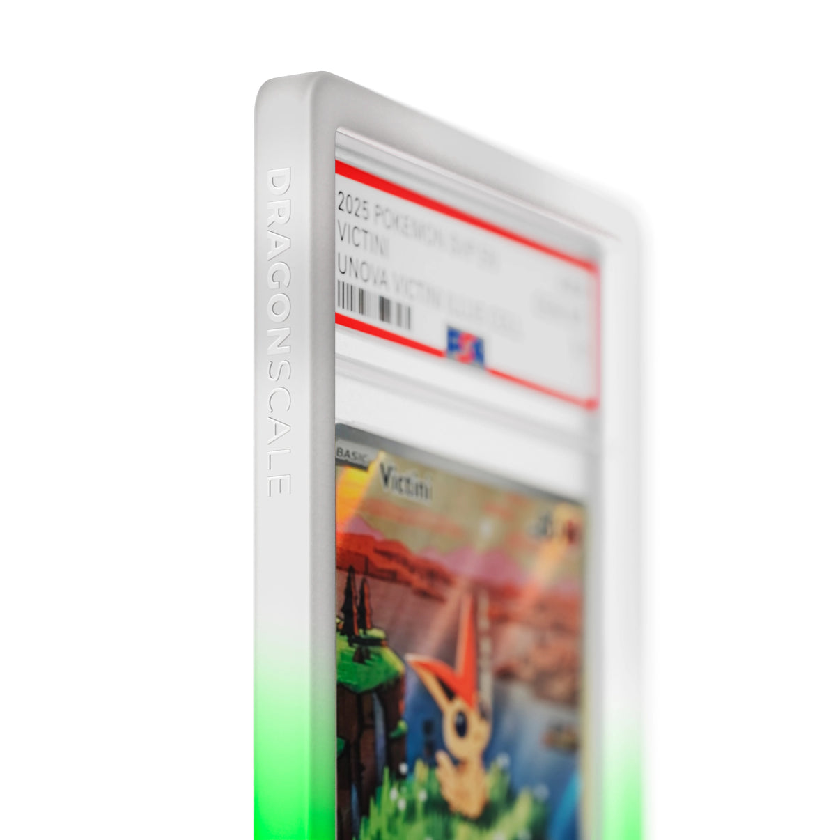 Close up logo zoom view of a PSA slab in Gradient Sylvan Dragonscale bumper guard, featuring a Victini B&W PSA 10 Pokemon card.