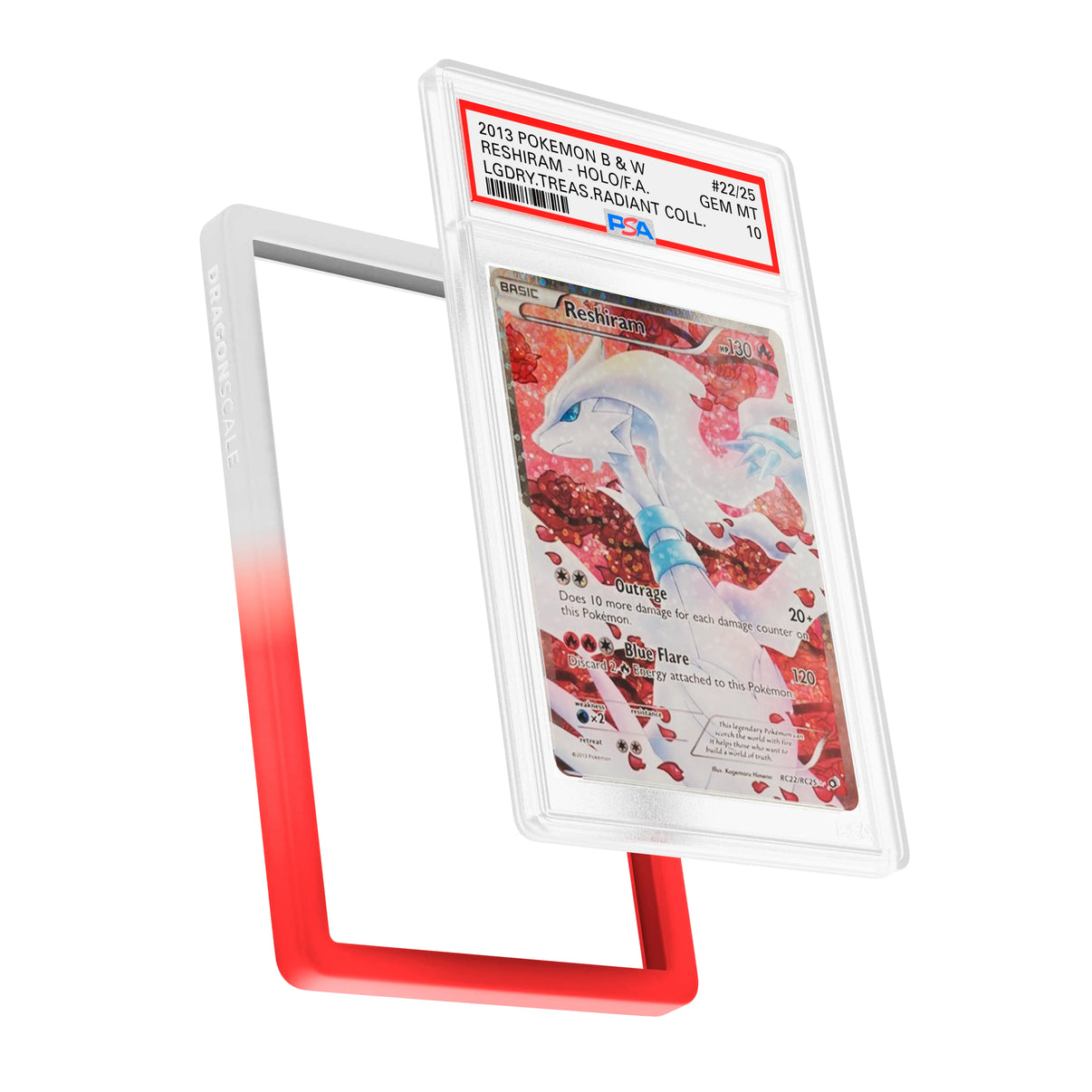Display and demo view of a PSA slab in Gradient Valor Dragonscale bumper guard, featuring a Reshiram  Legendary Treasures  PSA 10 Pokemon card.
