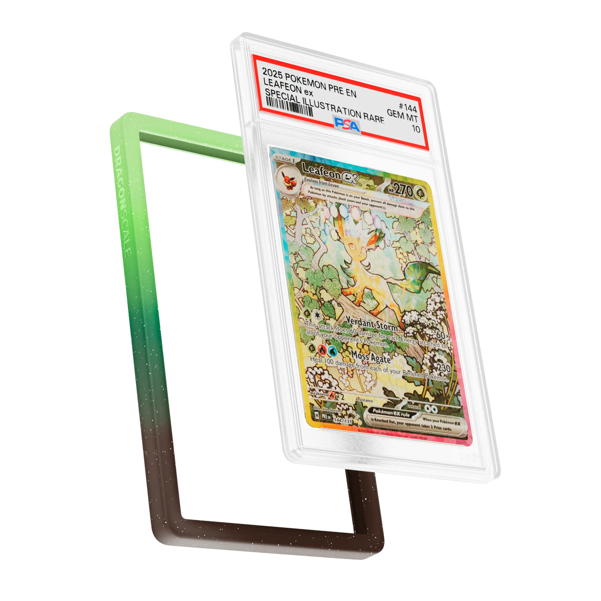 Display and demo view of a PSA slab in   Mythic Wildbloom  Dragonscale bumper guard, featuring a Leafeon Ex Prismatic Evolution PSA 10 Pokemon card.
