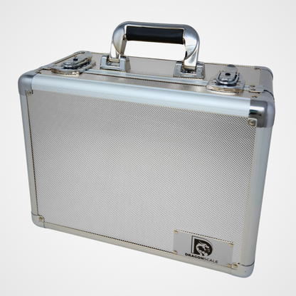 DRAGONSCALE XL-99 Compact Metal Slab Case (Silver)